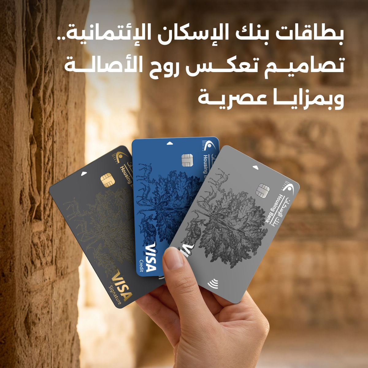 card-launch-pal-news.jpg